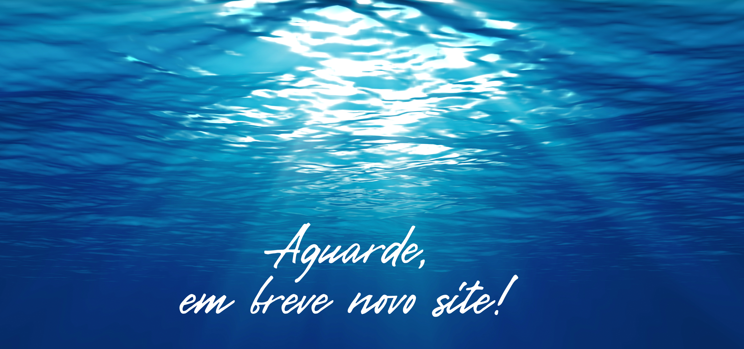 banner2